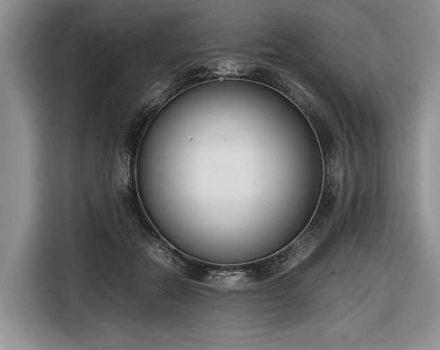 X0000116660554200912211509