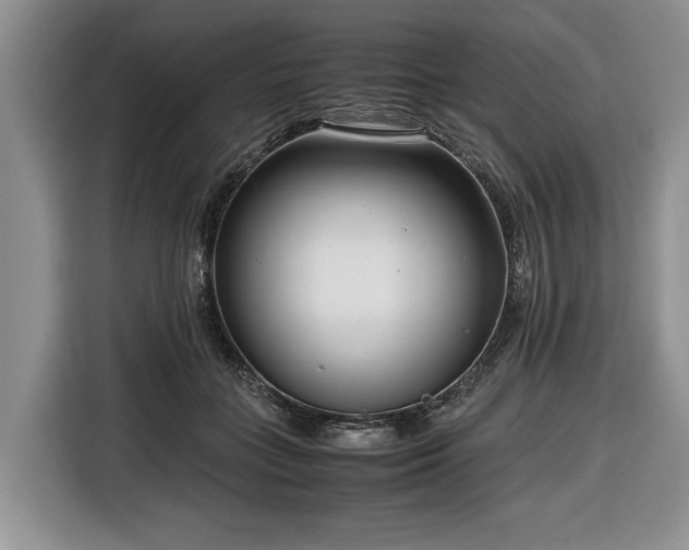 X0000116660555200912211509