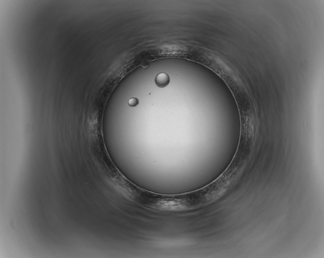 X0000116660557200912211509