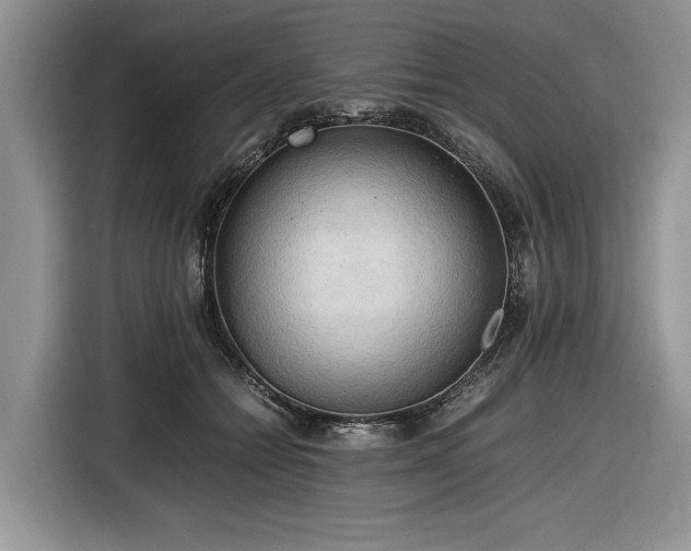 X0000116660558200912211509