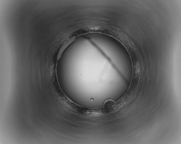 X0000116660559200912211509