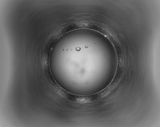 X0000116660561200912211509