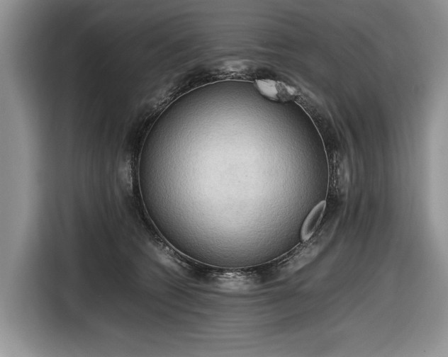 X0000116660562200912211509