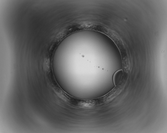 X0000116660563200912211509