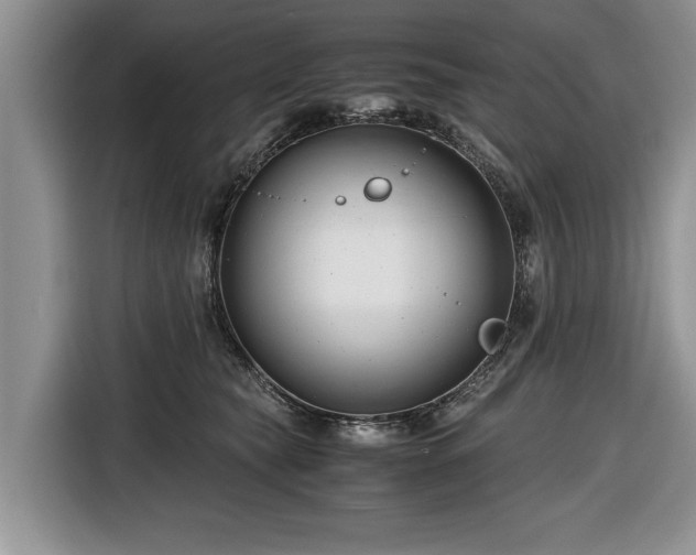 X0000116660565200912211509