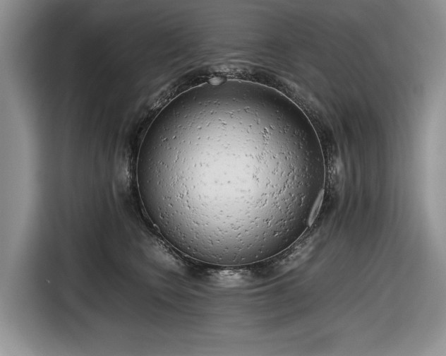 X0000116660566200912211509