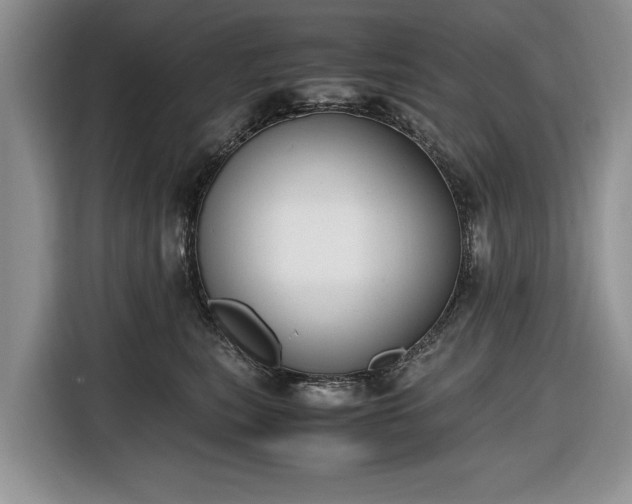 X0000116660567200912211509