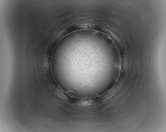 X0000116660569200912211509