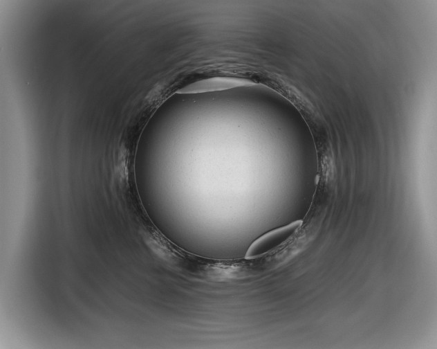 X0000116660570200912211509