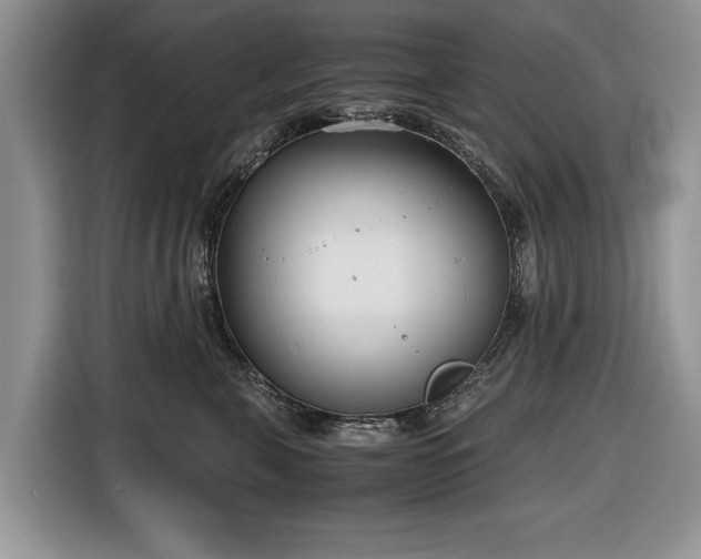 X0000116660571200912211509