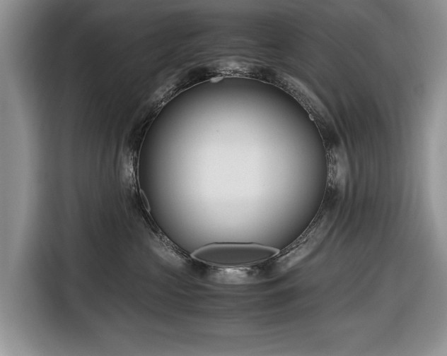 X0000116660573200912211509