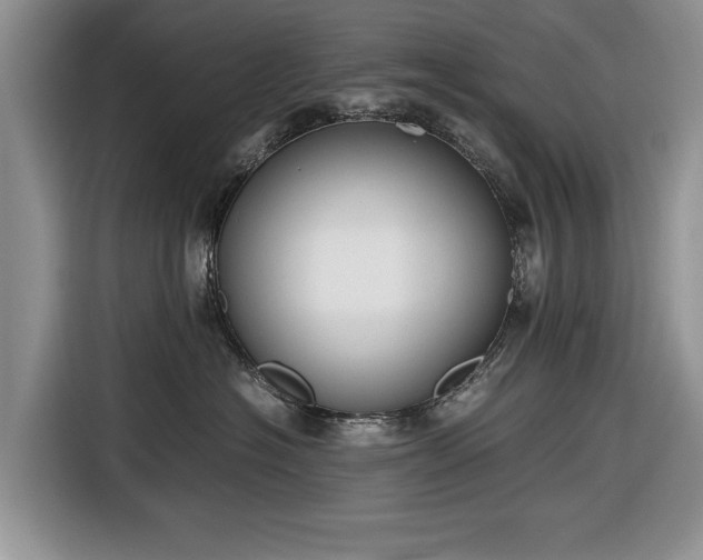 X0000116660574200912211510