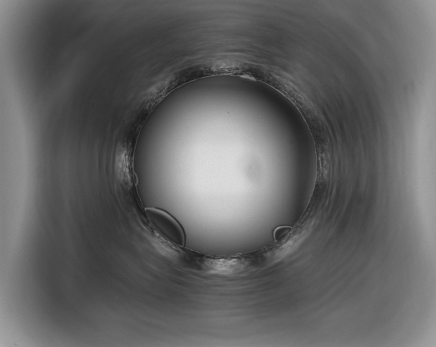 X0000116660575200912211510