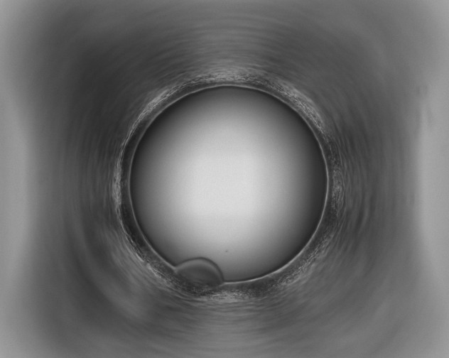 X0000116660578200912211509