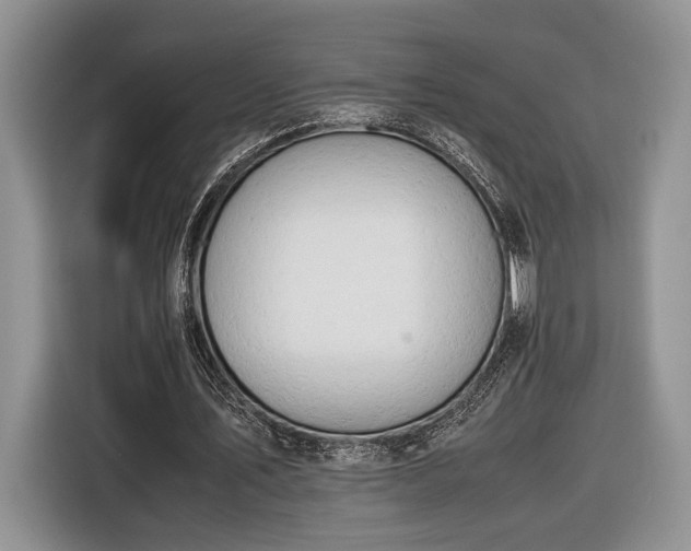 X0000116660579200912211509