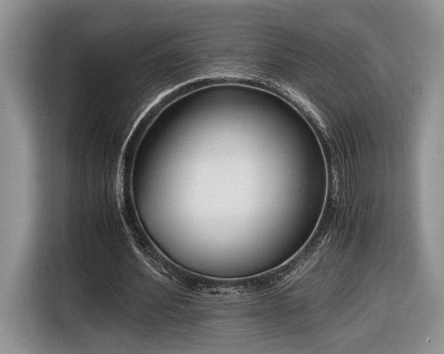 X0000116660580200912211509