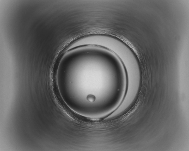 X0000116660581200912211509