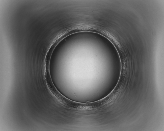 X0000116660582200912211509