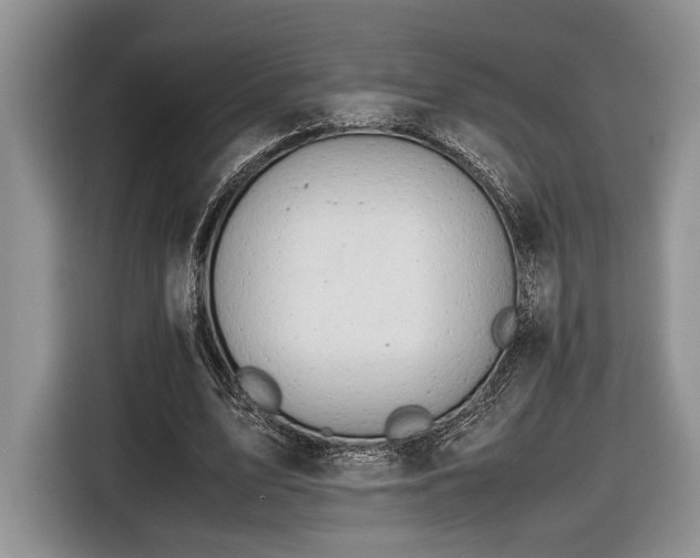 X0000116660583200912211509