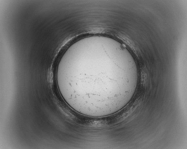 X0000116660584200912211509