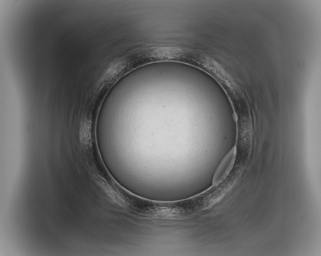 X0000116660585200912211509