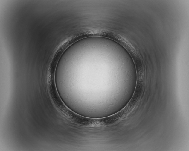 X0000116660587200912211509