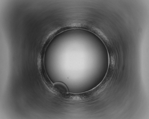 X0000116660588200912211509