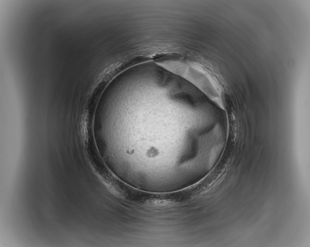 X0000116660590200912211509