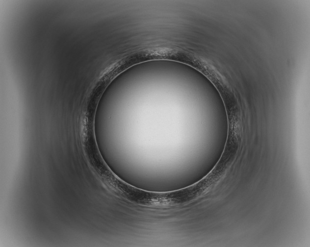 X0000116660591200912211509