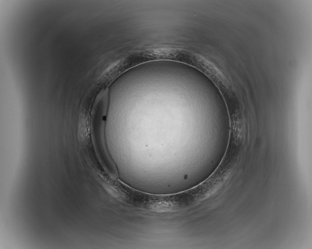 X0000116660593200912211509