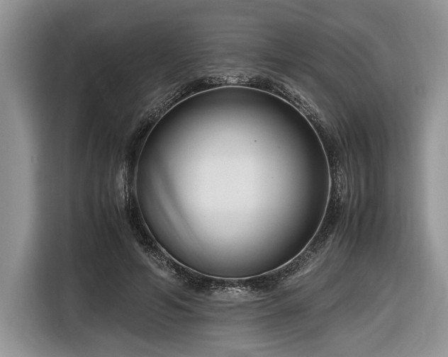 X0000116660594200912211509