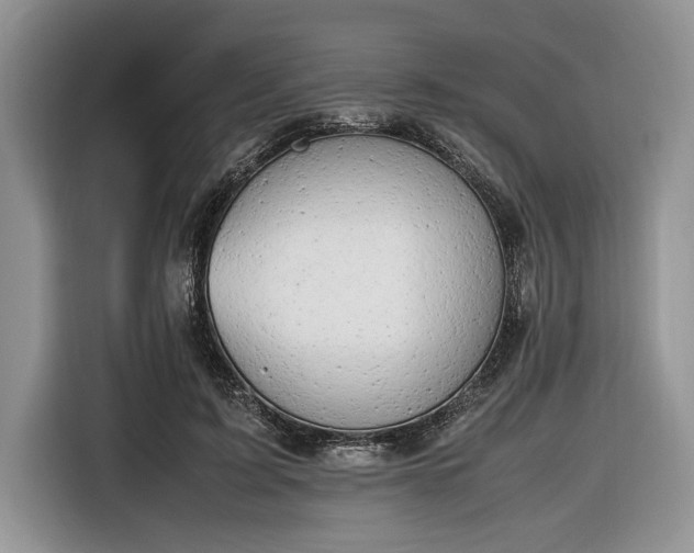 X0000116660595200912211509