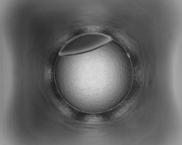 X0000116660597200912211509