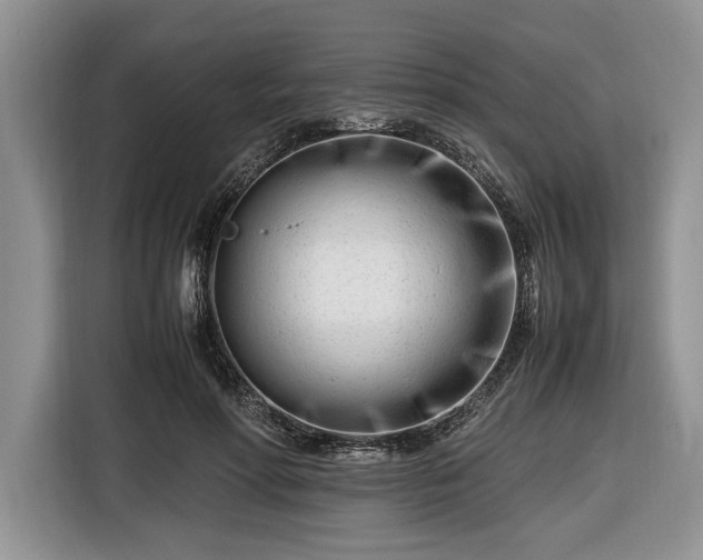 X0000116660598200912211509