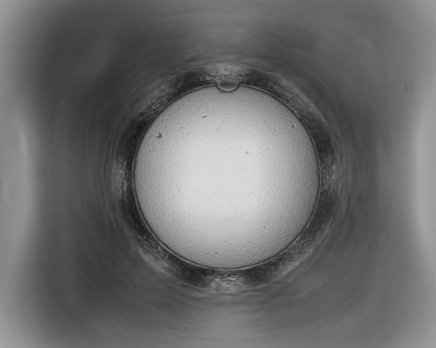 X0000116660599200912211509