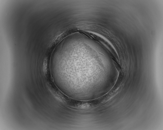 X0000116660600200912211509