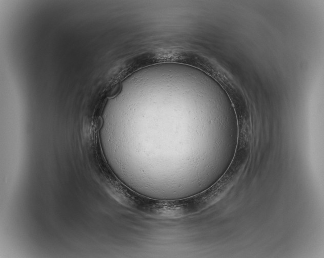 X0000116660601200912211509