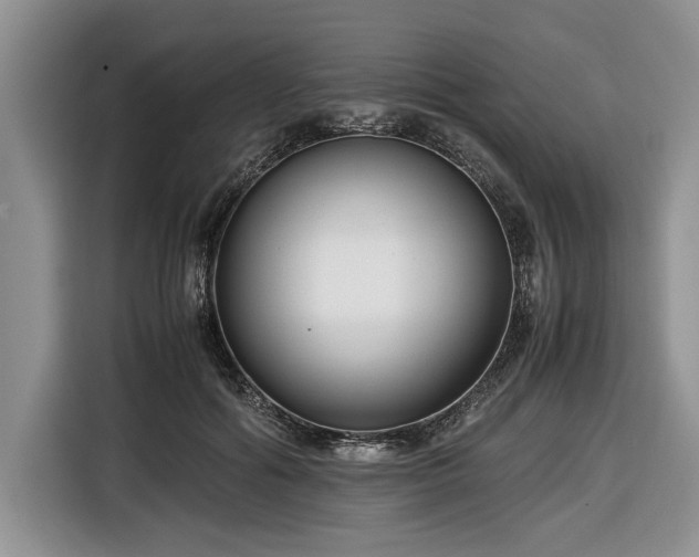 X0000116660602200912211509