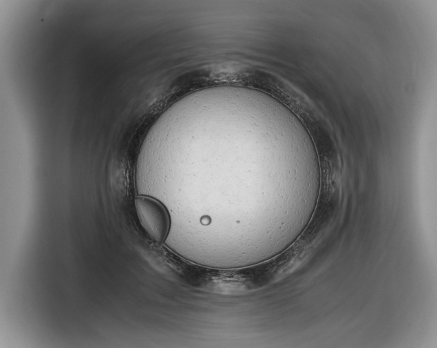 X0000116660603200912211509