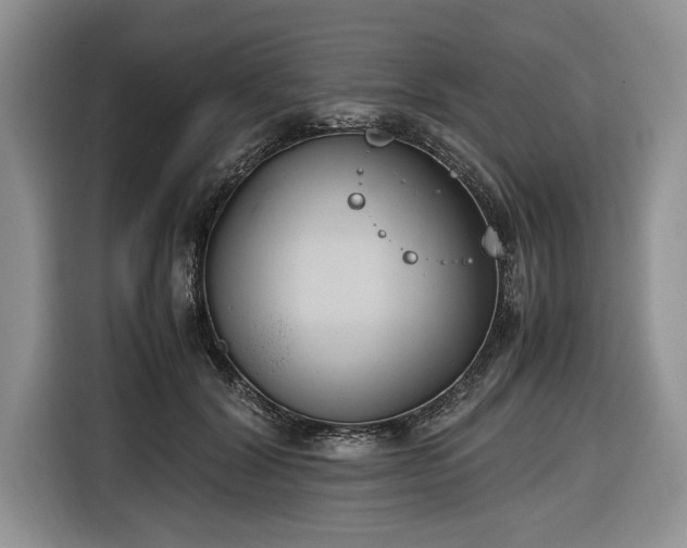 X0000116660604200912211509