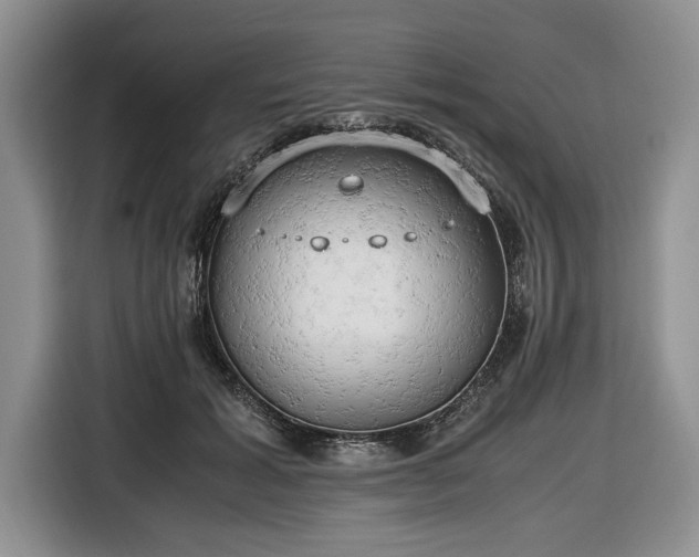 X0000116660605200912211509