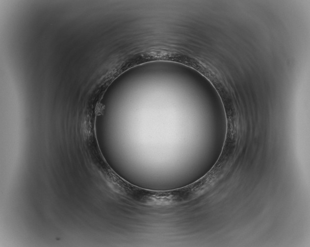 X0000116660606200912211509