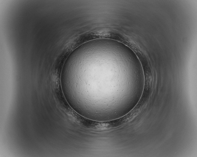 X0000116660609200912211508