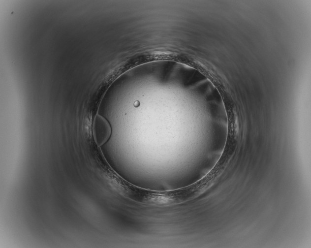 X0000116660610200912211508