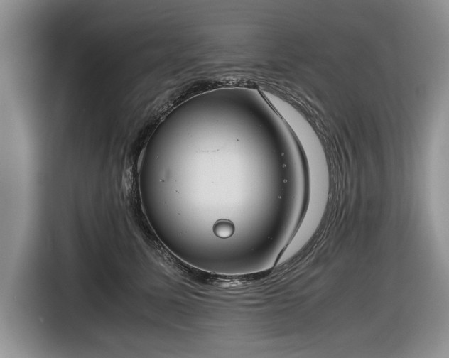 X0000116660611200912211508