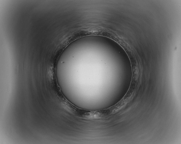 X0000116660612200912211508