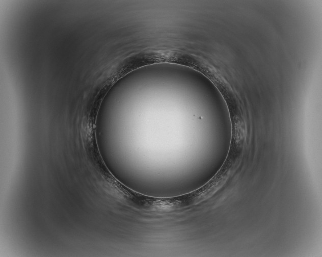 X0000116660613200912211508