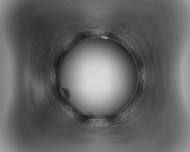 X0000116660615200912211508