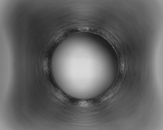 X0000116660616200912211508