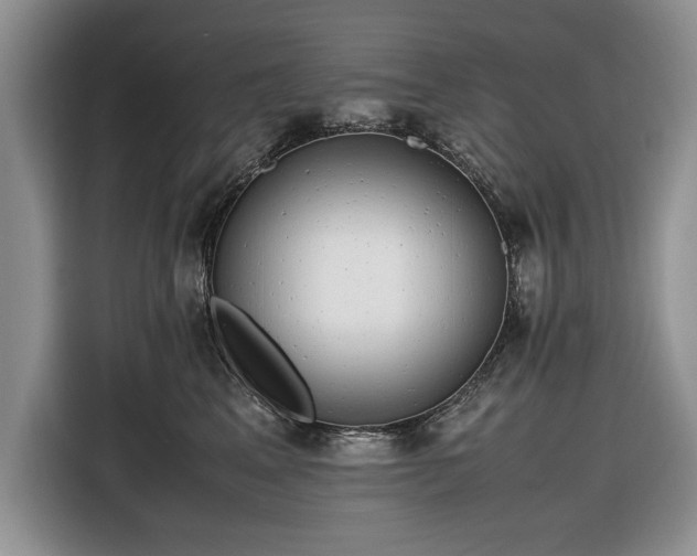 X0000116660617200912211508